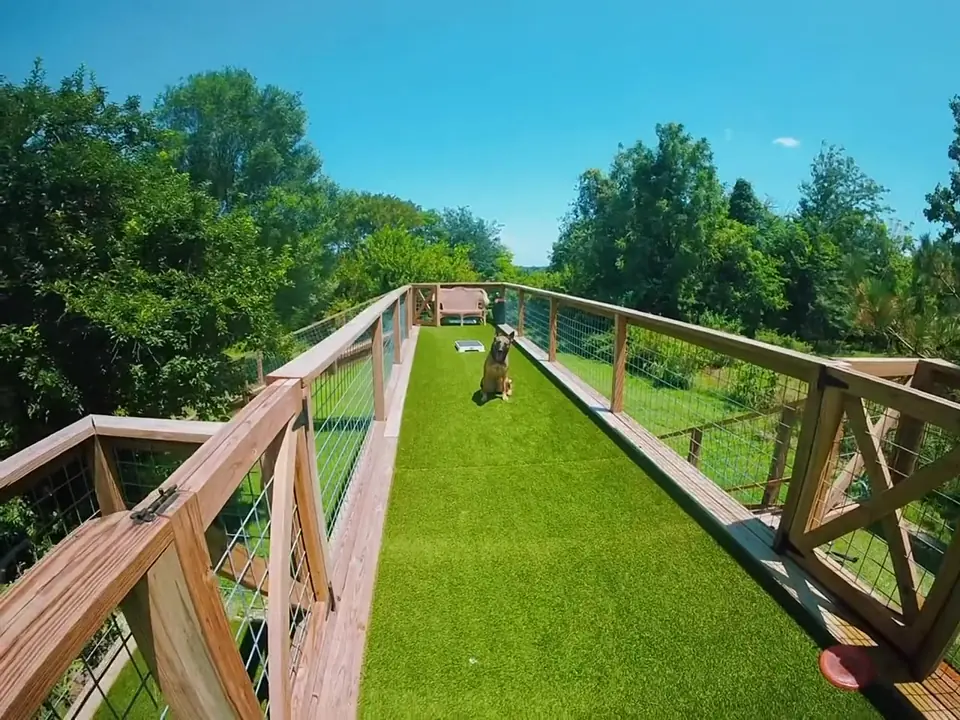 Video still: POV: you rented the pool for your dog