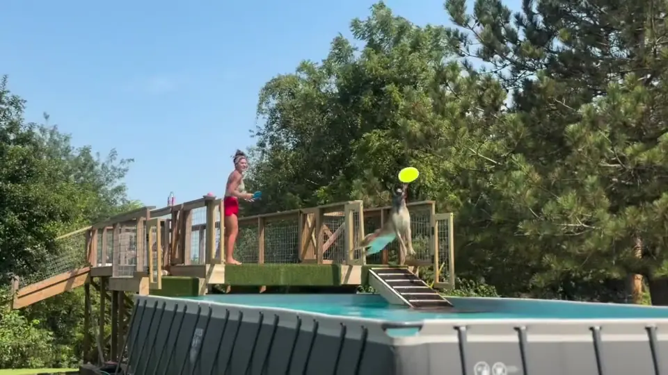 Video still: Beat the heat with early swims